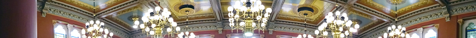 House Chamber Ceiling