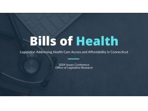 20241213_HealthAccess.pdf